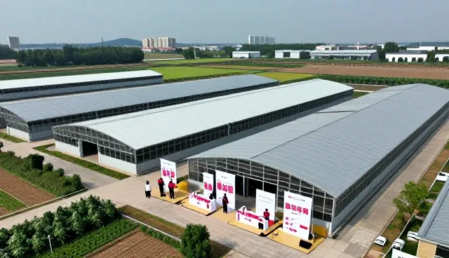 创意表达在品牌全案策划中的趋势与实践